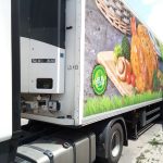 Donuk Gıda Taşıma - Donmuş Gıda Taşıma