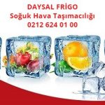 Daysal Frigo - Yüklerimiz